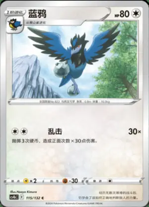 蓝鸦