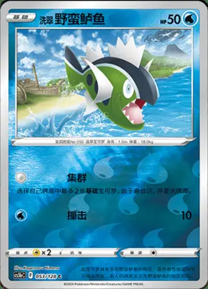 洗翠野蛮鲈鱼