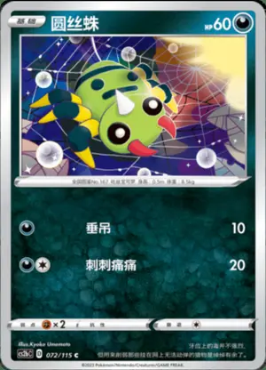 圆丝蛛