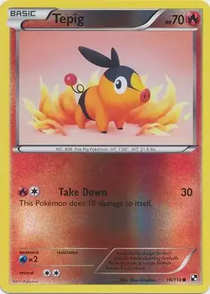 Tepig