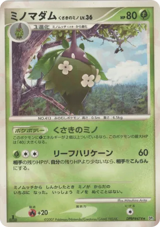 ミノマダム くさきのミノ