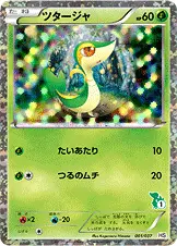 ツタージャ