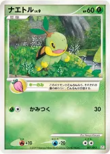 ナエトル