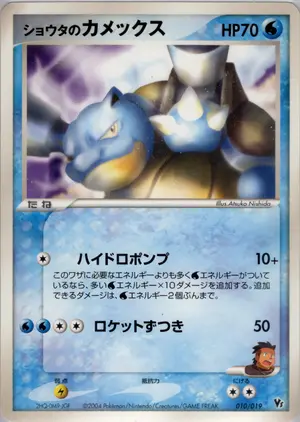 ショウタのカメックス