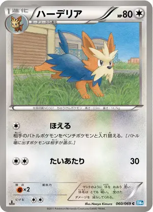ハーデリア