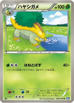 ハヤシガメ