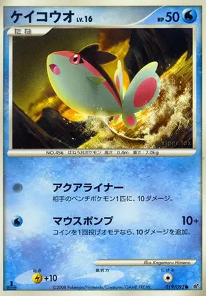 ケイコウオ