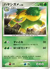 ハヤシガメ
