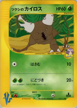 ツクシのカイロス